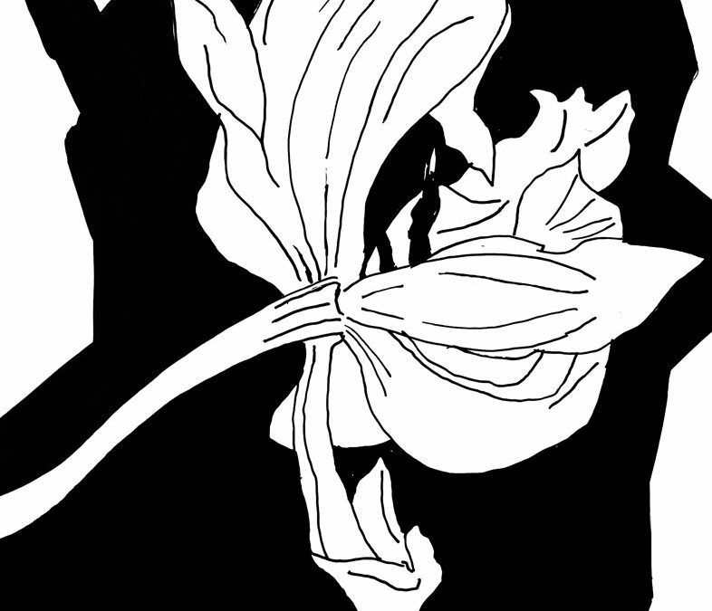 Schnee, Schnee, Schnee